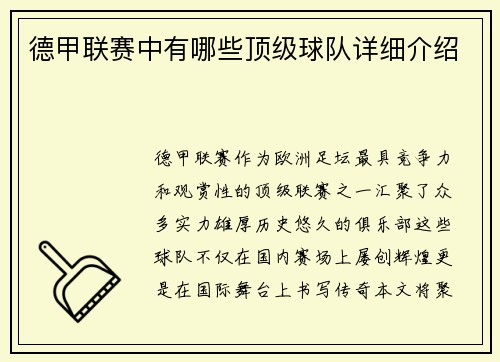 德甲联赛中有哪些顶级球队详细介绍